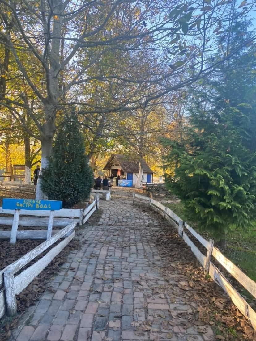 Apartman Lavanda Banja Koviljača מראה חיצוני תמונה